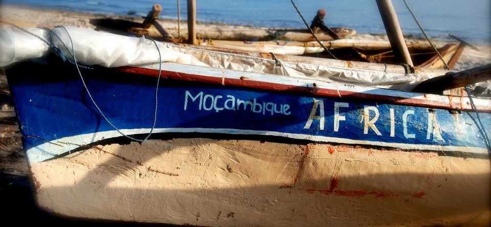 Welcome to our blog!